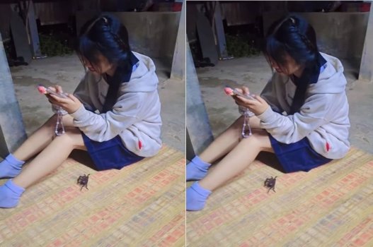 Hãy sắp xếp cuộc hẹn ở nhà để 